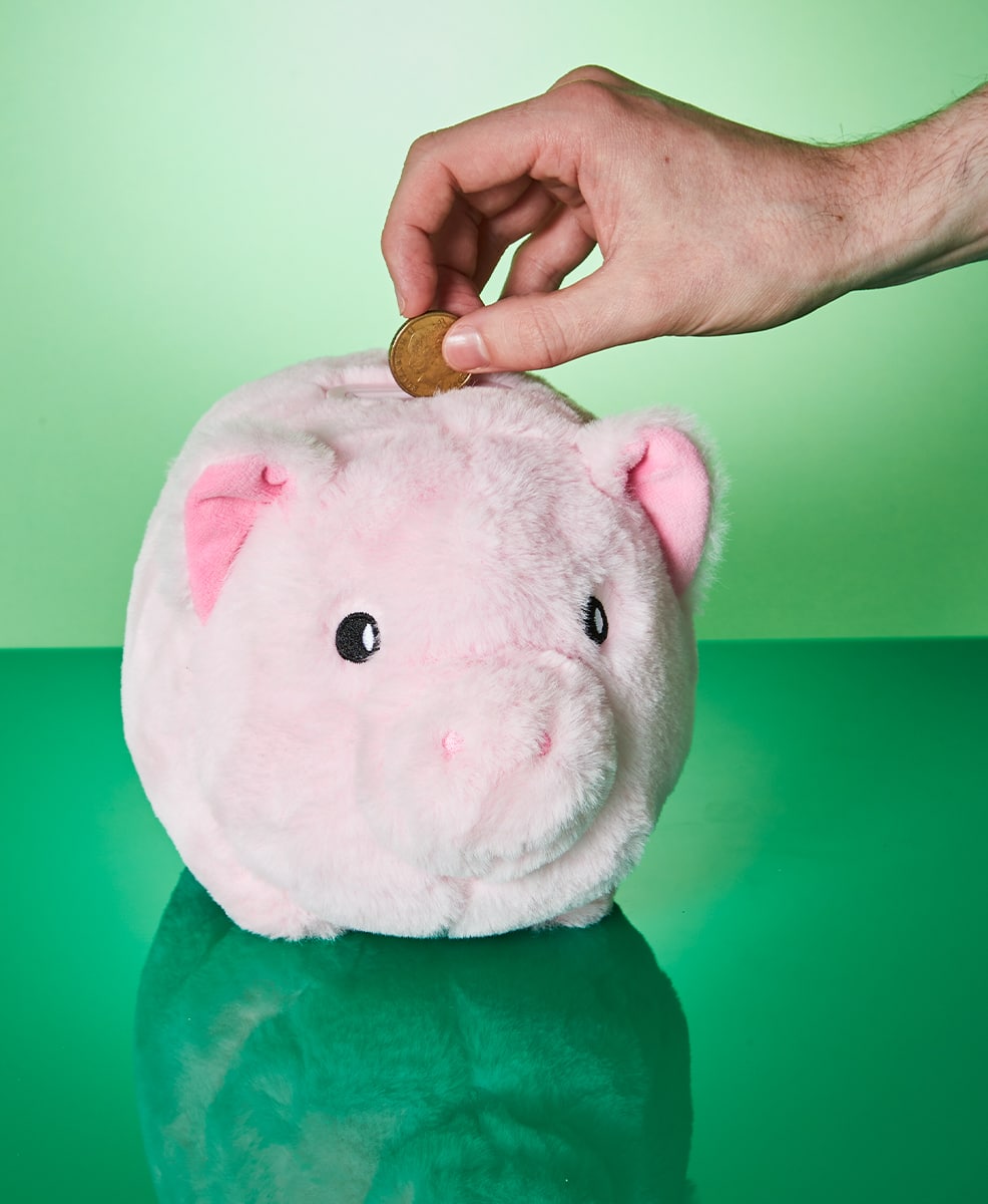 Plush Piggy Bank