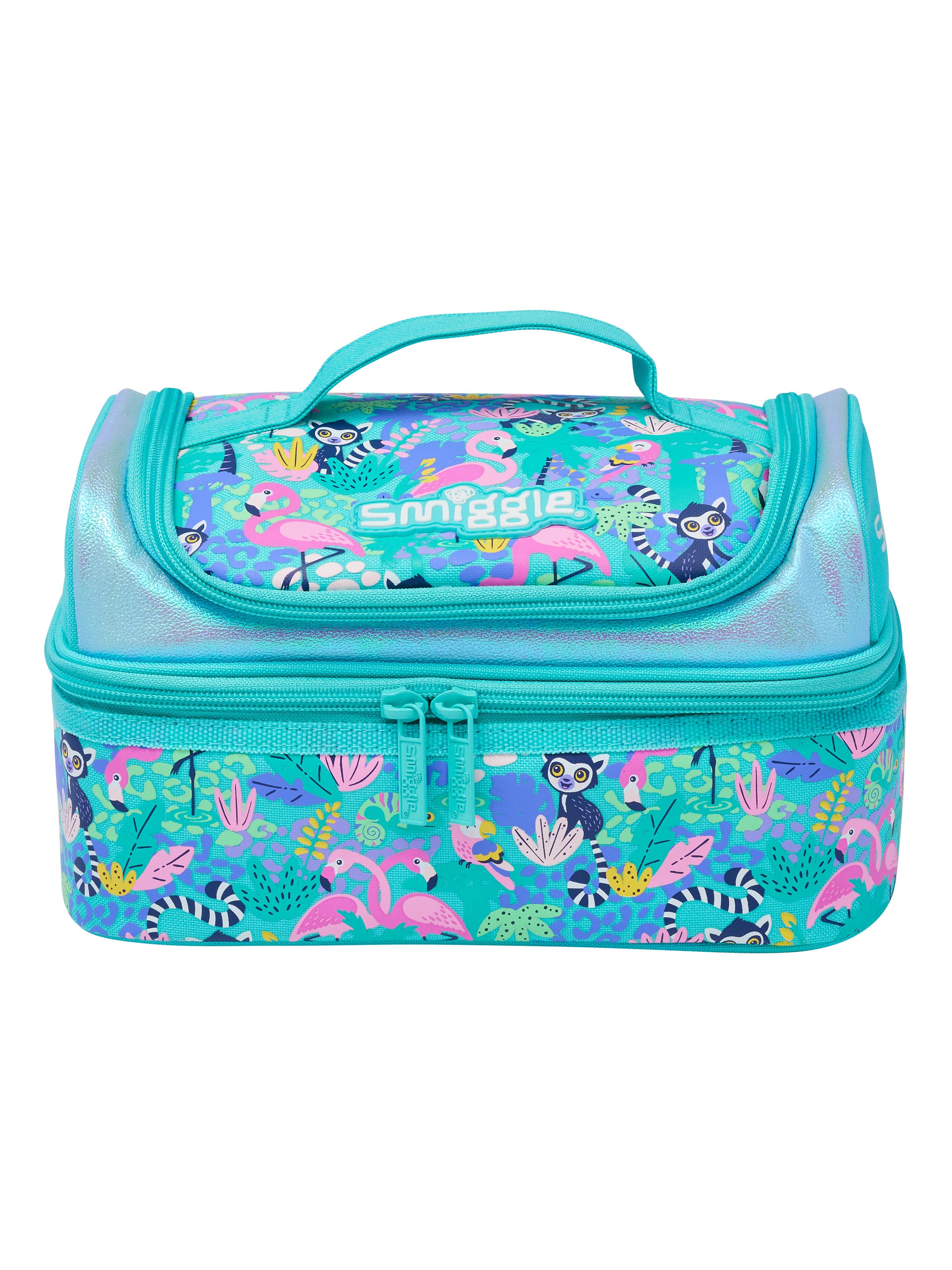 Square Divided Lunch Boxes, New Zealand, lunch box, party, DEAL OF THE  DAY